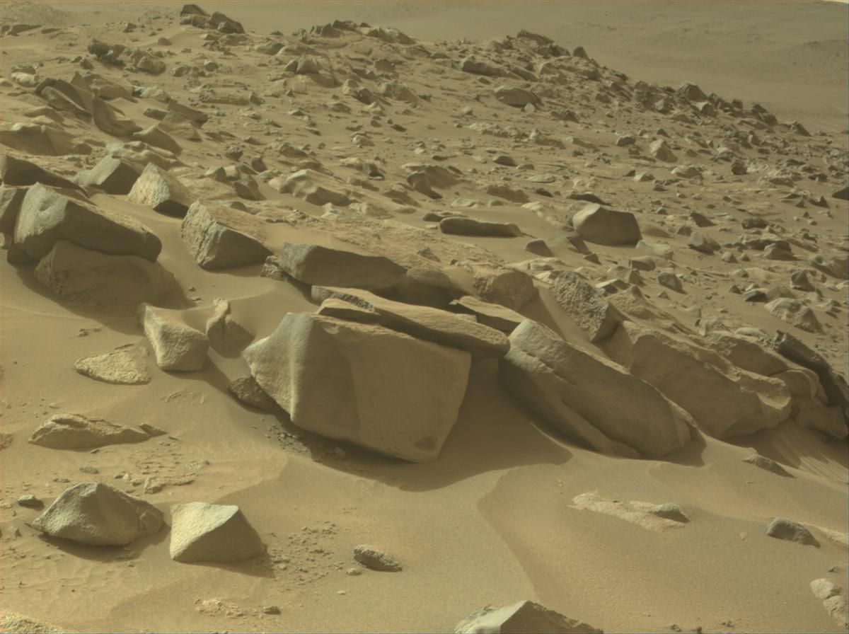 This image was taken by NAVCAM_LEFT onboard NASA's Mars rover Perseverance on Sol 1123