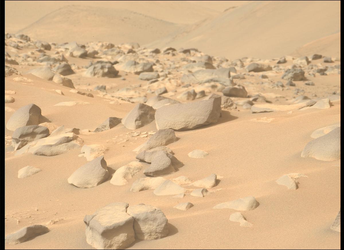 This image was taken by MCZ_LEFT onboard NASA's Mars rover Perseverance on Sol 1123