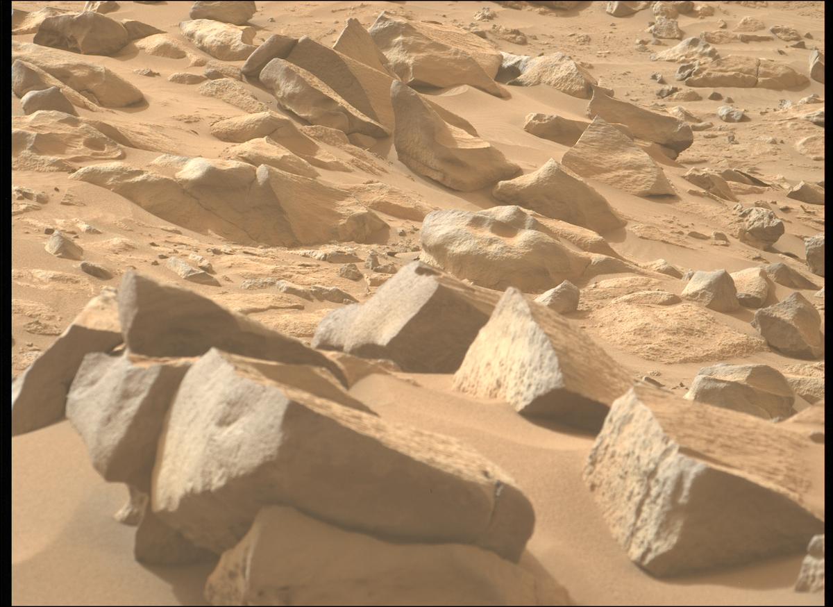 This image was taken by MCZ_LEFT onboard NASA's Mars rover Perseverance on Sol 1123