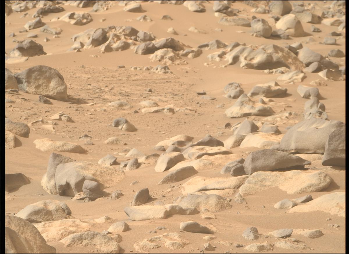 This image was taken by MCZ_RIGHT onboard NASA's Mars rover Perseverance on Sol 1123