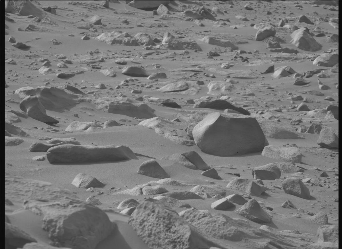 This image was taken by MCZ_RIGHT onboard NASA's Mars rover Perseverance on Sol 1123