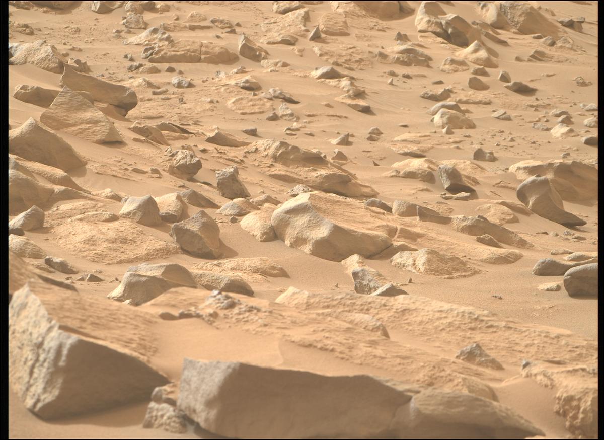 This image was taken by MCZ_RIGHT onboard NASA's Mars rover Perseverance on Sol 1123