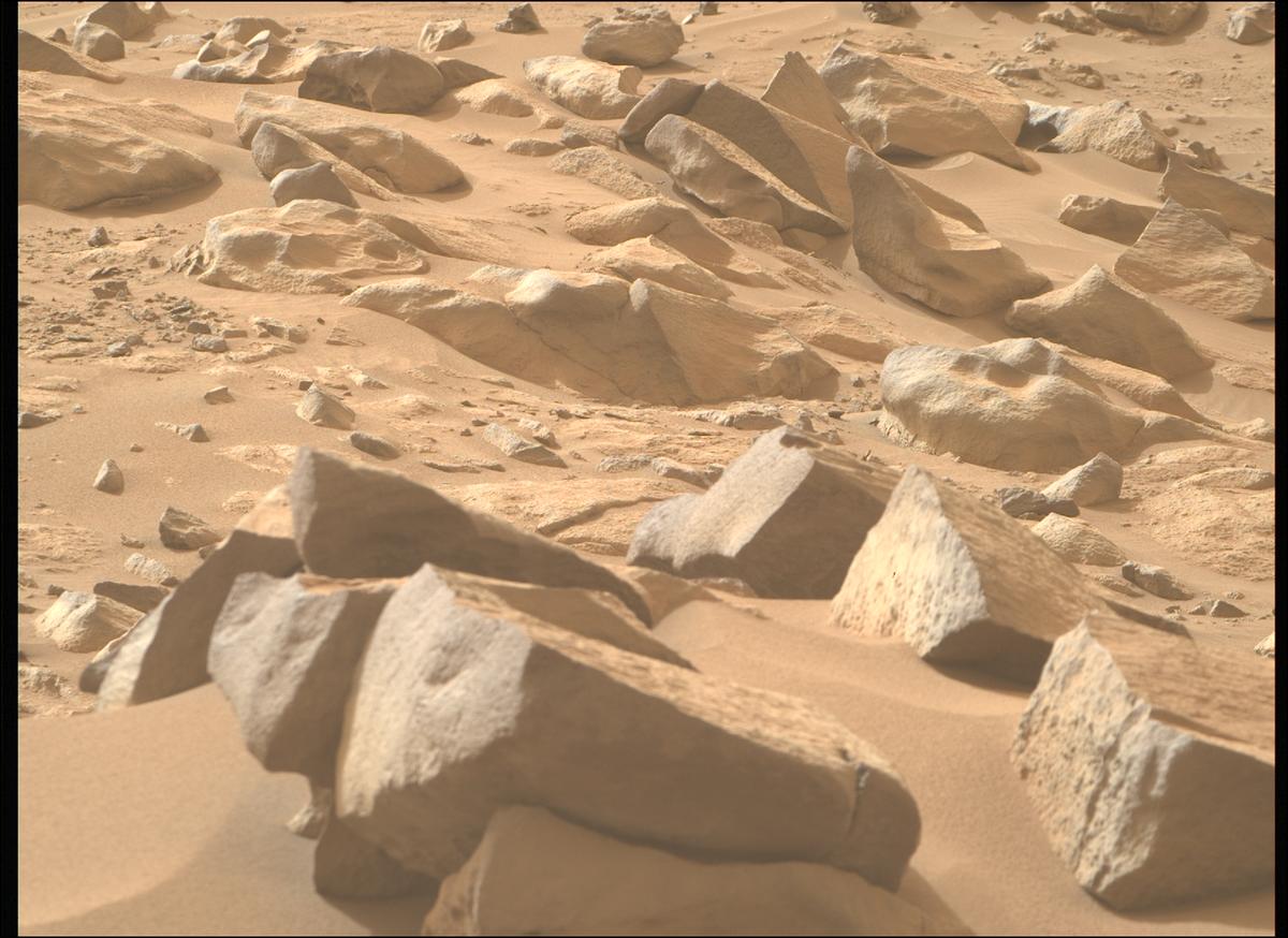 This image was taken by MCZ_RIGHT onboard NASA's Mars rover Perseverance on Sol 1123