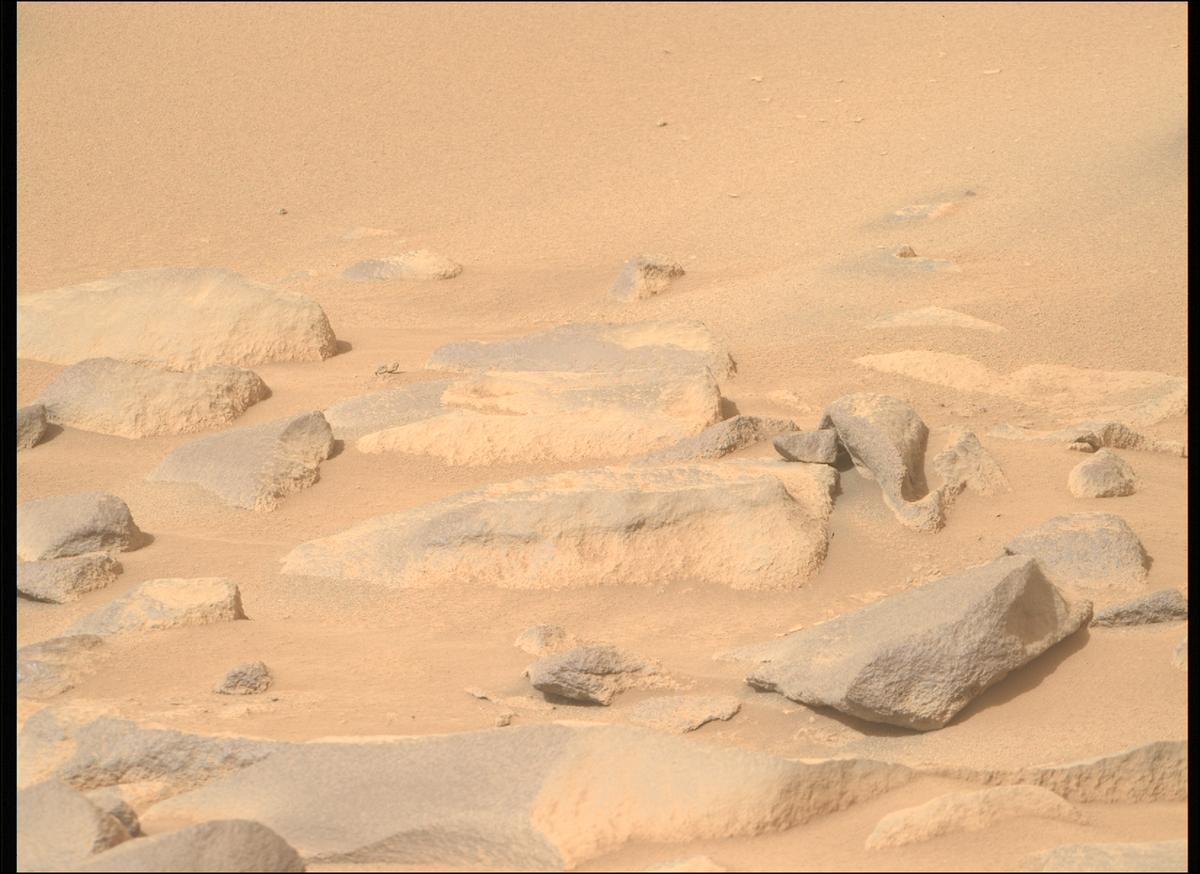 This image was taken by MCZ_RIGHT onboard NASA's Mars rover Perseverance on Sol 1123