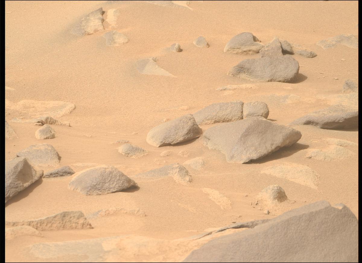 This image was taken by MCZ_RIGHT onboard NASA's Mars rover Perseverance on Sol 1123