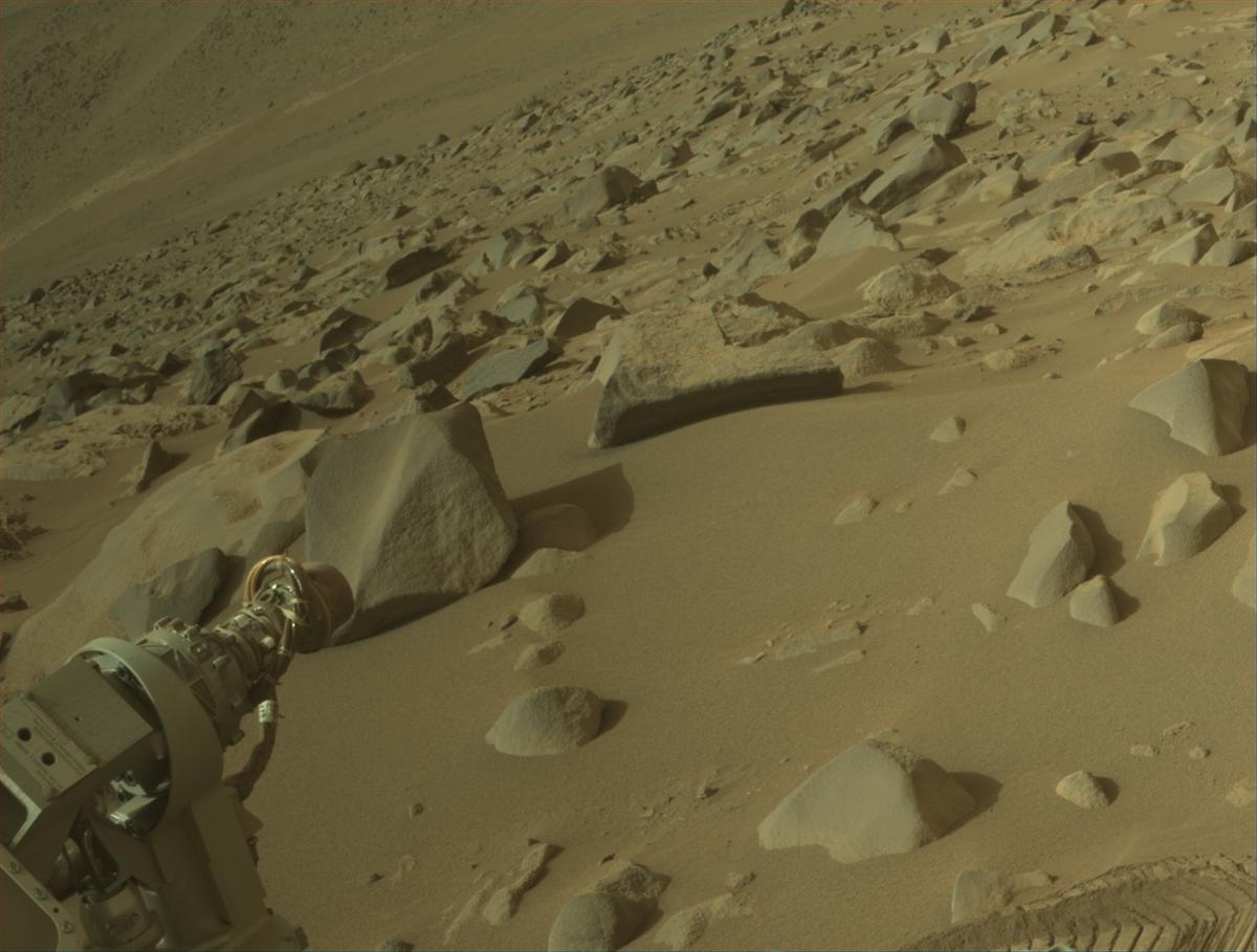 This image was taken by NAVCAM_RIGHT onboard NASA's Mars rover Perseverance on Sol 1124