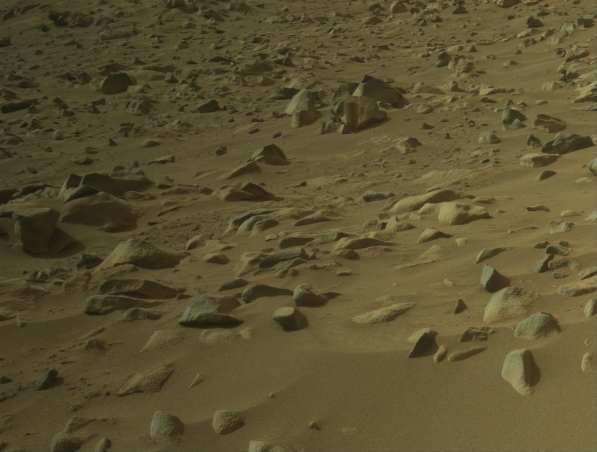 This image was taken by NAVCAM_LEFT onboard NASA's Mars rover Perseverance on Sol 1125