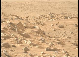 View image taken on Mars, Mars Perseverance Sol 1130: Left Mastcam-Z Camera