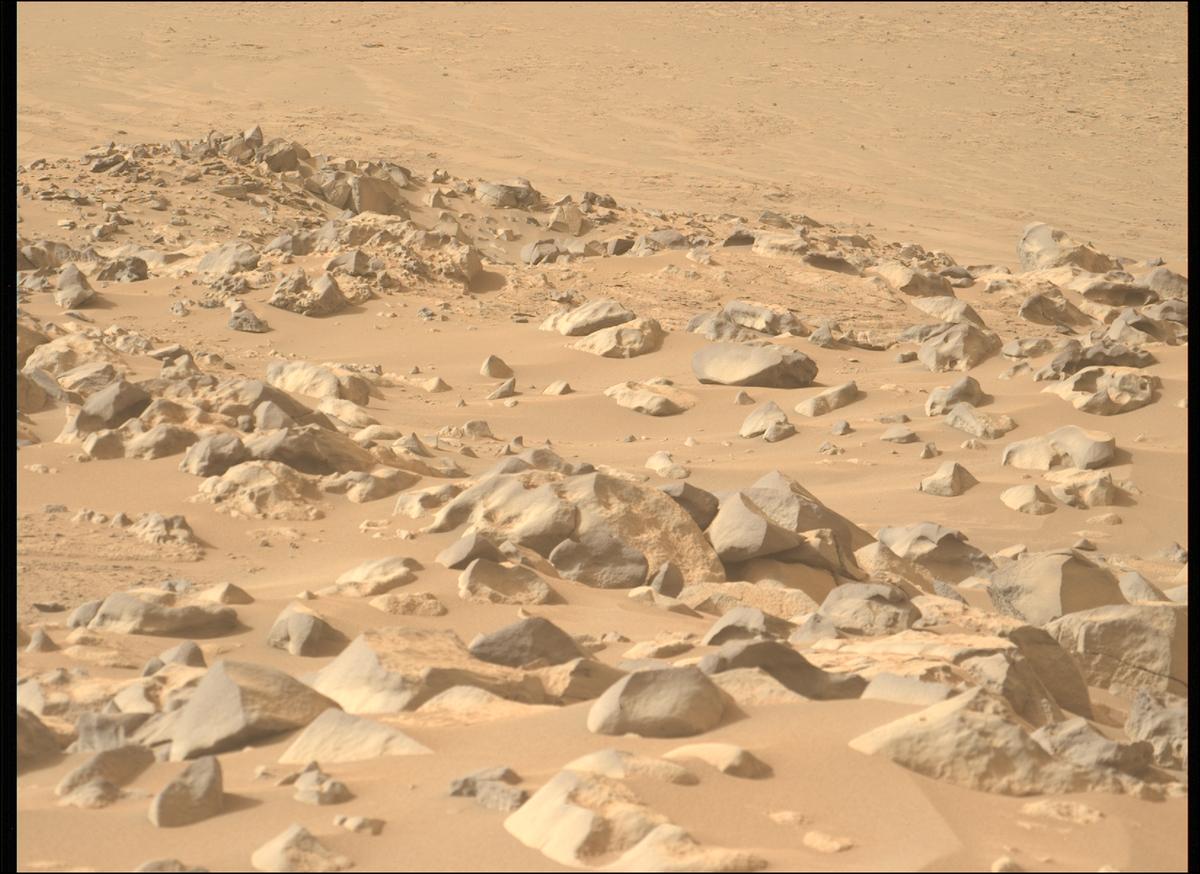 This image was taken by MCZ_LEFT onboard NASA's Mars rover Perseverance on Sol 1130