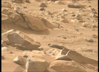 View image taken on Mars, Mars Perseverance Sol 1130: Left Mastcam-Z Camera
