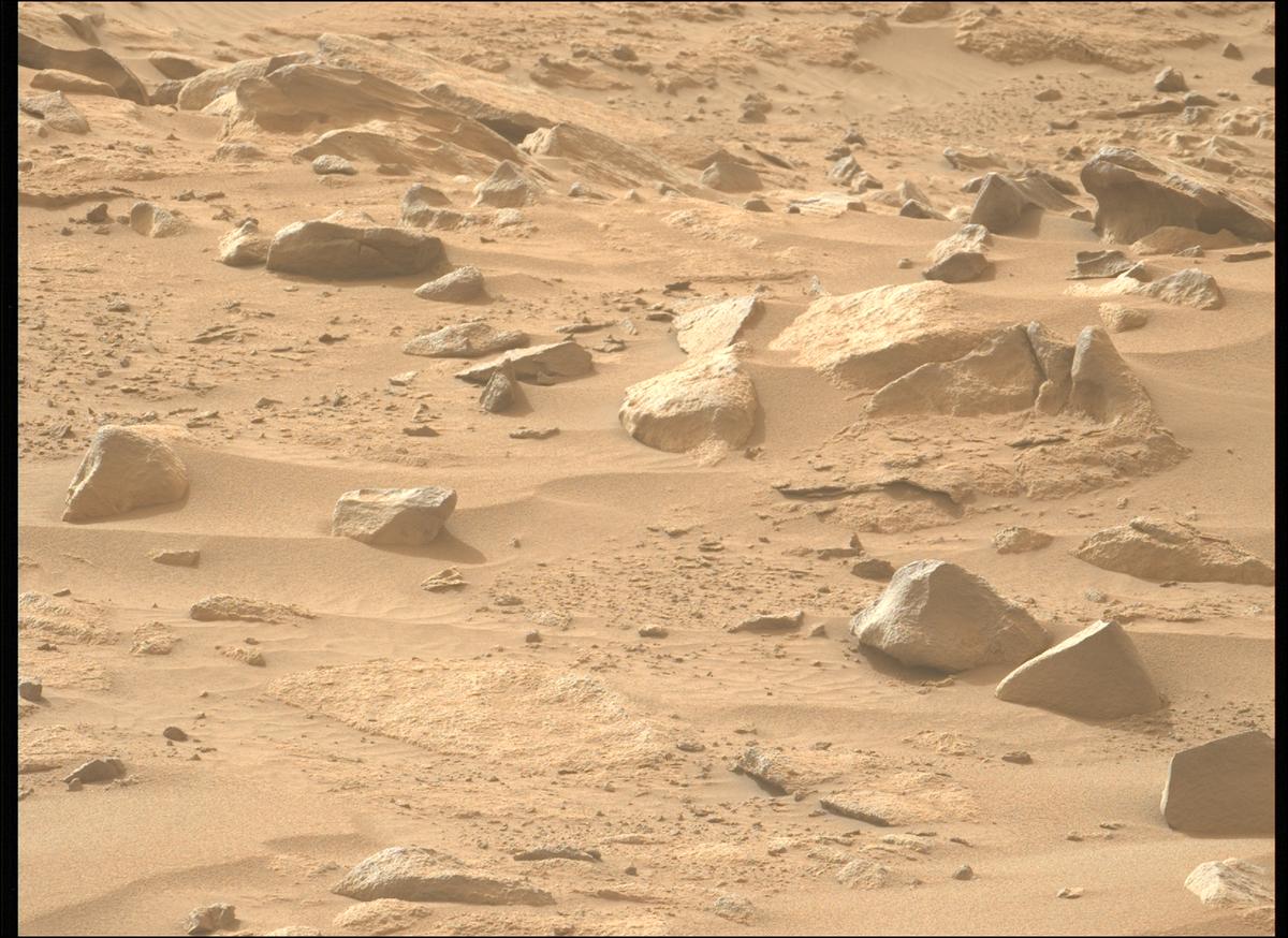 This image was taken by MCZ_LEFT onboard NASA's Mars rover Perseverance on Sol 1130