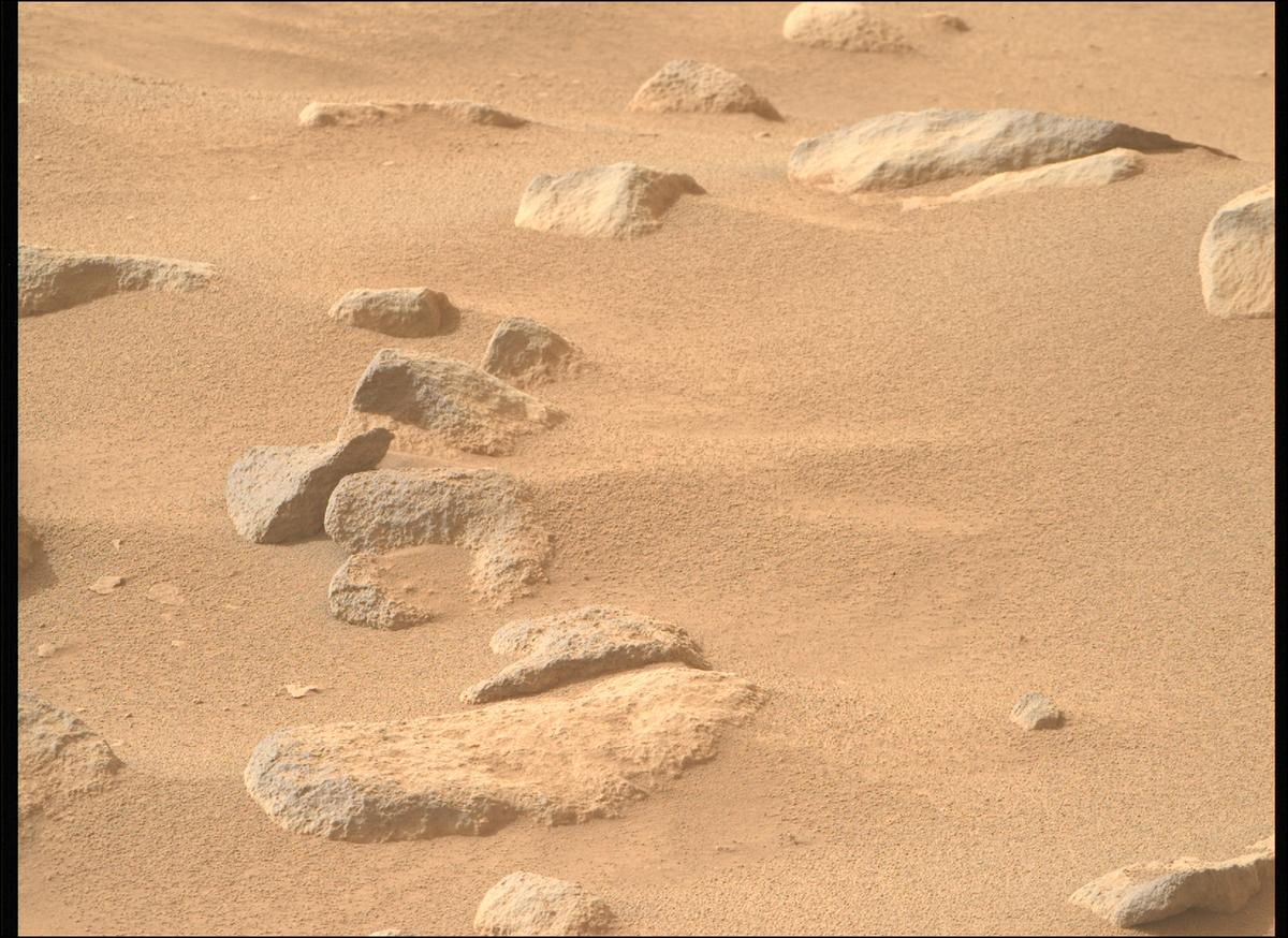 This image was taken by MCZ_RIGHT onboard NASA's Mars rover Perseverance on Sol 1130
