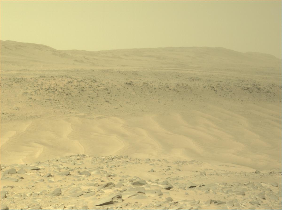 This image was taken by NAVCAM_LEFT onboard NASA's Mars rover Perseverance on Sol 1131