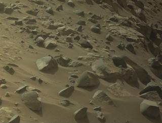 View image taken on Mars, Mars Perseverance Sol 1131: Right Navigation Camera (Navcam)