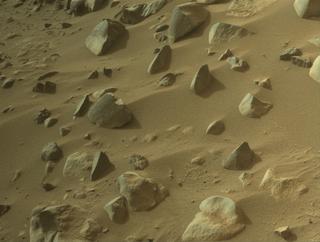 View image taken on Mars, Mars Perseverance Sol 1131: Right Navigation Camera (Navcam)