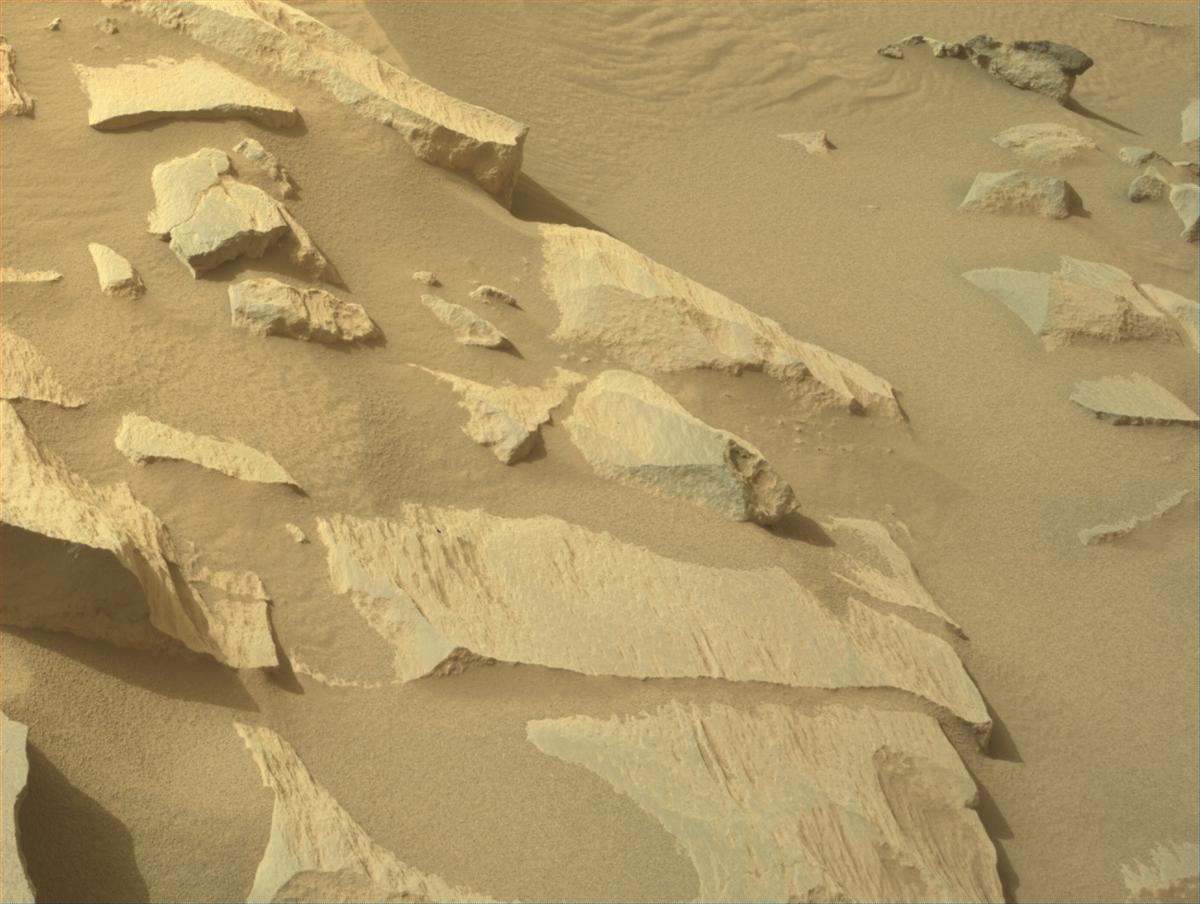 This image was taken by NAVCAM_RIGHT onboard NASA's Mars rover Perseverance on Sol 1131
