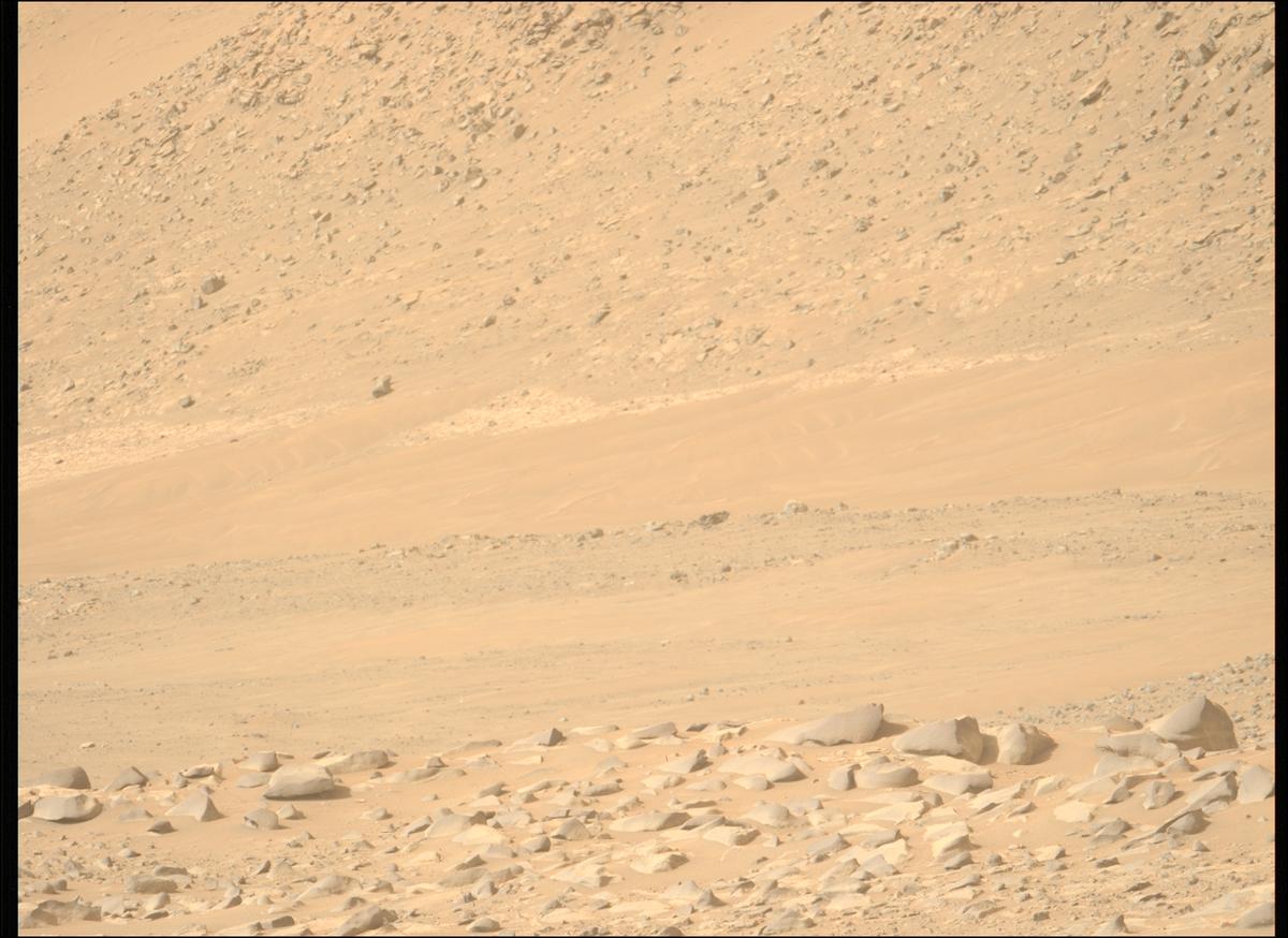 This image was taken by MCZ_LEFT onboard NASA's Mars rover Perseverance on Sol 1131