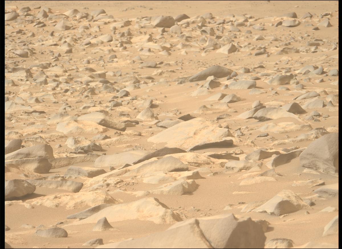 This image was taken by MCZ_LEFT onboard NASA's Mars rover Perseverance on Sol 1131