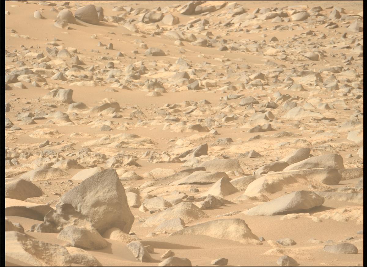 This image was taken by MCZ_LEFT onboard NASA's Mars rover Perseverance on Sol 1131