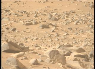 View image taken on Mars, Mars Perseverance Sol 1131: Left Mastcam-Z Camera