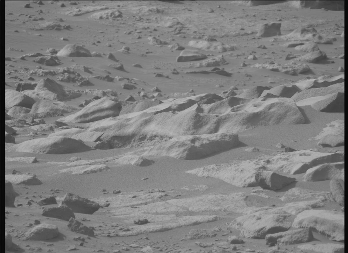 This image was taken by MCZ_LEFT onboard NASA's Mars rover Perseverance on Sol 1131