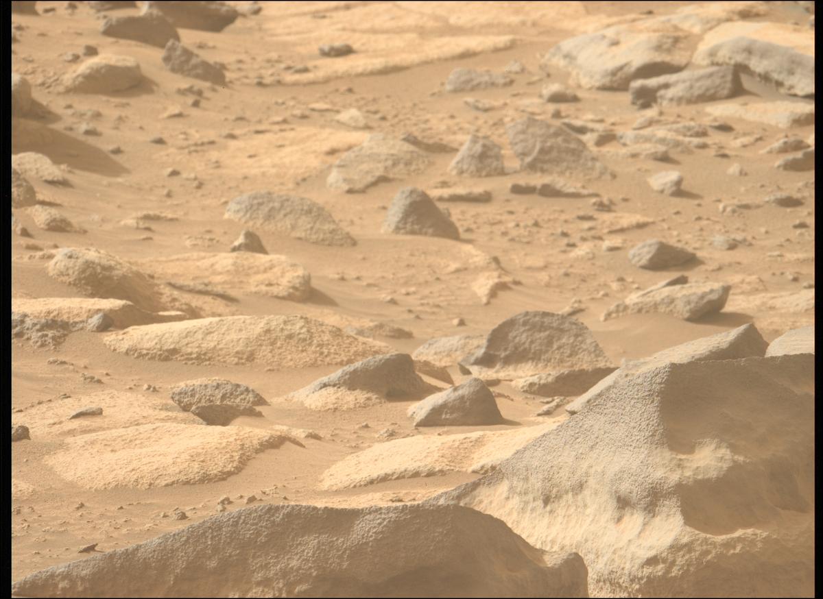 This image was taken by MCZ_LEFT onboard NASA's Mars rover Perseverance on Sol 1131