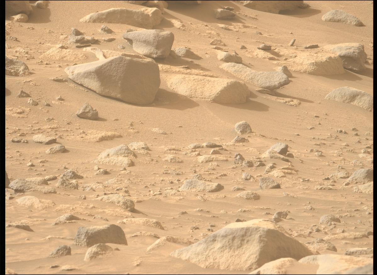 This image was taken by MCZ_LEFT onboard NASA's Mars rover Perseverance on Sol 1131