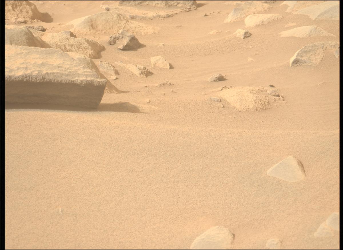This image was taken by MCZ_LEFT onboard NASA's Mars rover Perseverance on Sol 1131