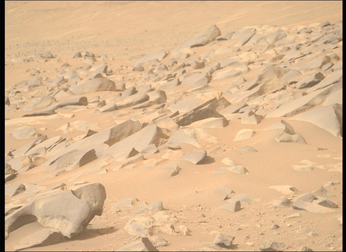 This image was taken by MCZ_RIGHT onboard NASA's Mars rover Perseverance on Sol 1131