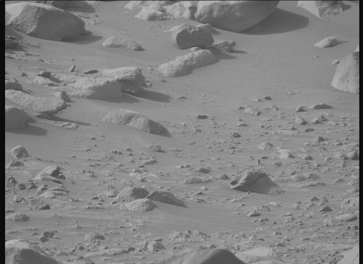 This image was taken by MCZ_RIGHT onboard NASA's Mars rover Perseverance on Sol 1131