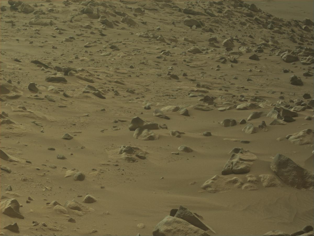 This image was taken by NAVCAM_LEFT onboard NASA's Mars rover Perseverance on Sol 1132
