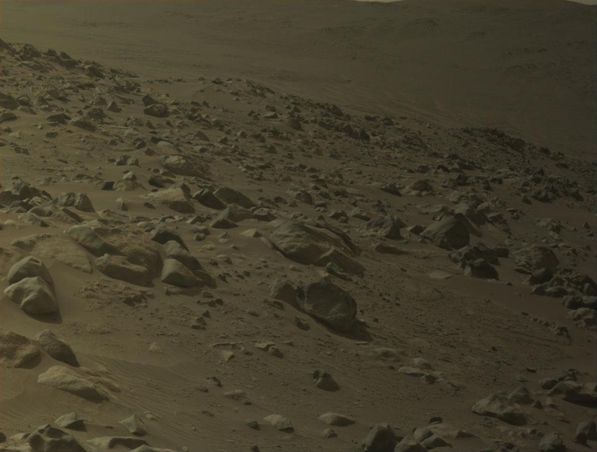 This image was taken by NAVCAM_LEFT onboard NASA's Mars rover Perseverance on Sol 1132