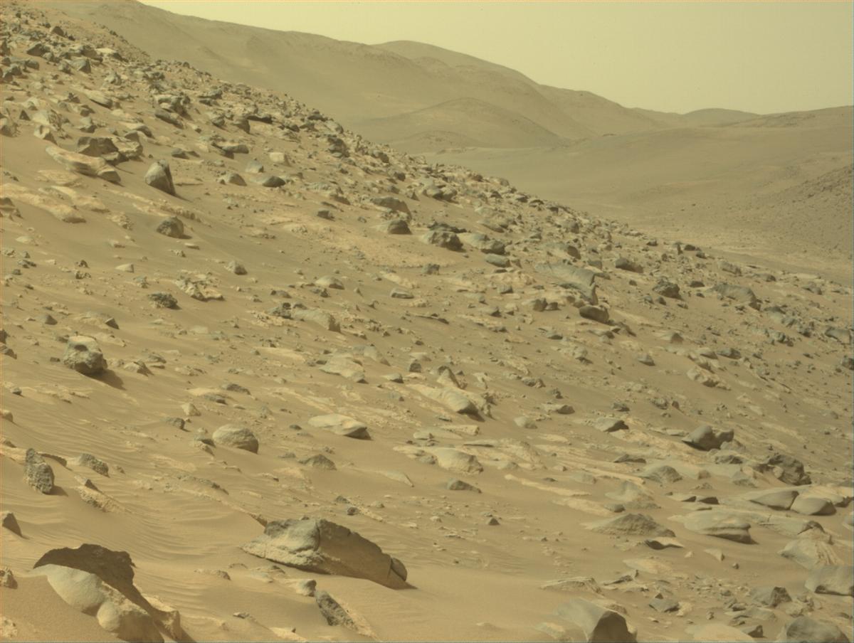 This image was taken by NAVCAM_RIGHT onboard NASA's Mars rover Perseverance on Sol 1132