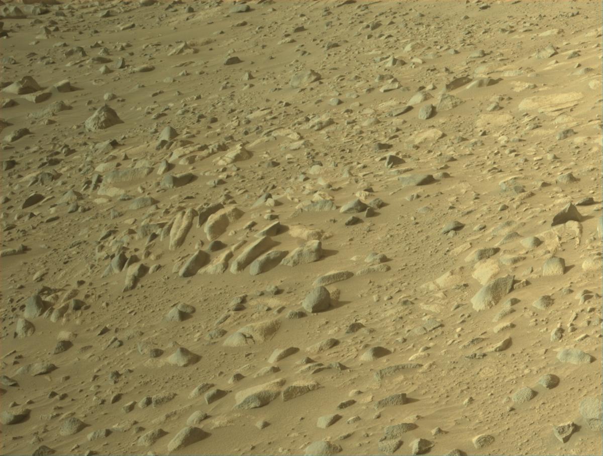 This image was taken by NAVCAM_RIGHT onboard NASA's Mars rover Perseverance on Sol 1134