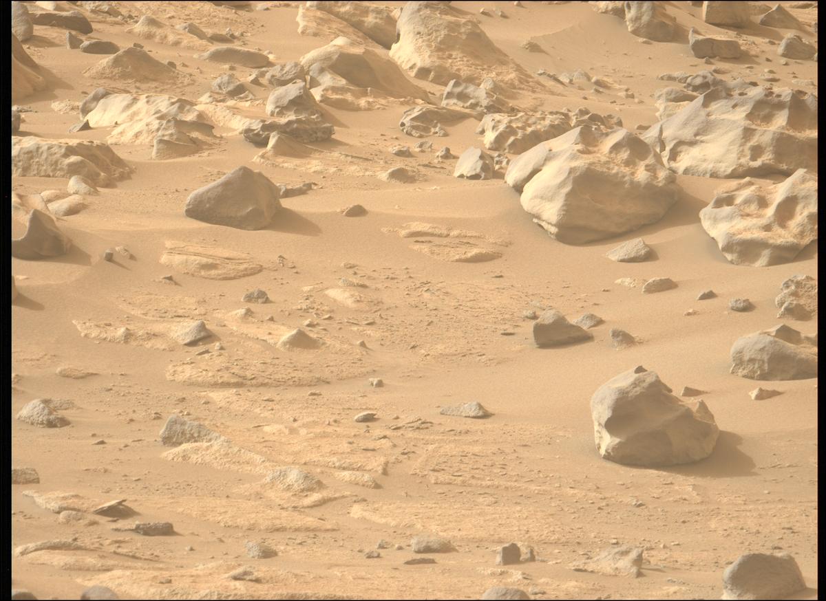 This image was taken by MCZ_LEFT onboard NASA's Mars rover Perseverance on Sol 1134