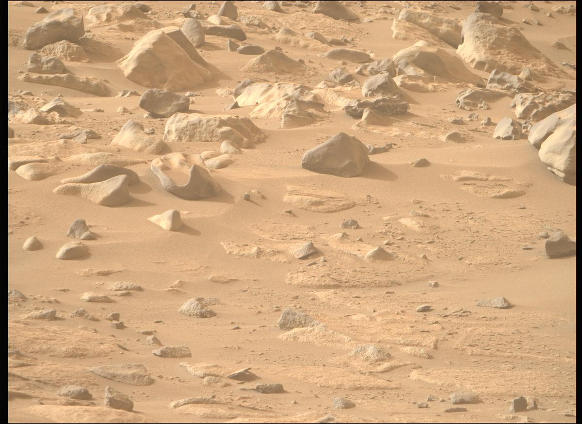 This image was taken by MCZ_RIGHT onboard NASA's Mars rover Perseverance on Sol 1134