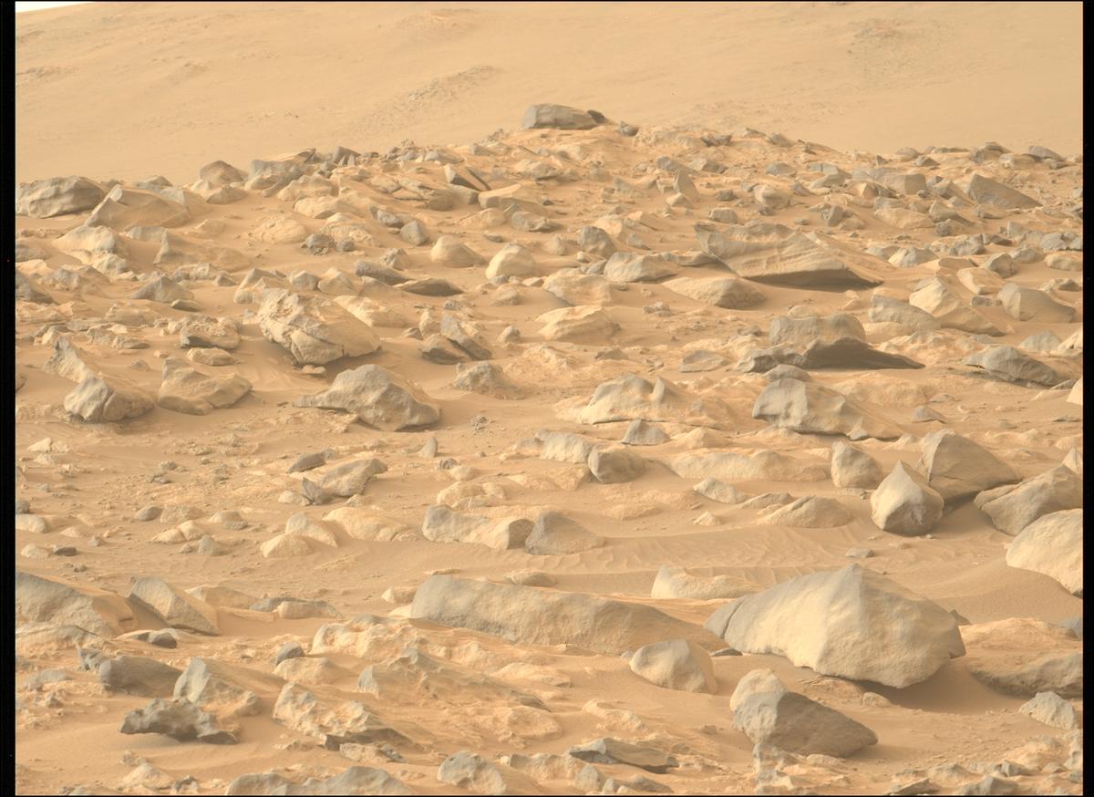 This image was taken by MCZ_LEFT onboard NASA's Mars rover Perseverance on Sol 1135