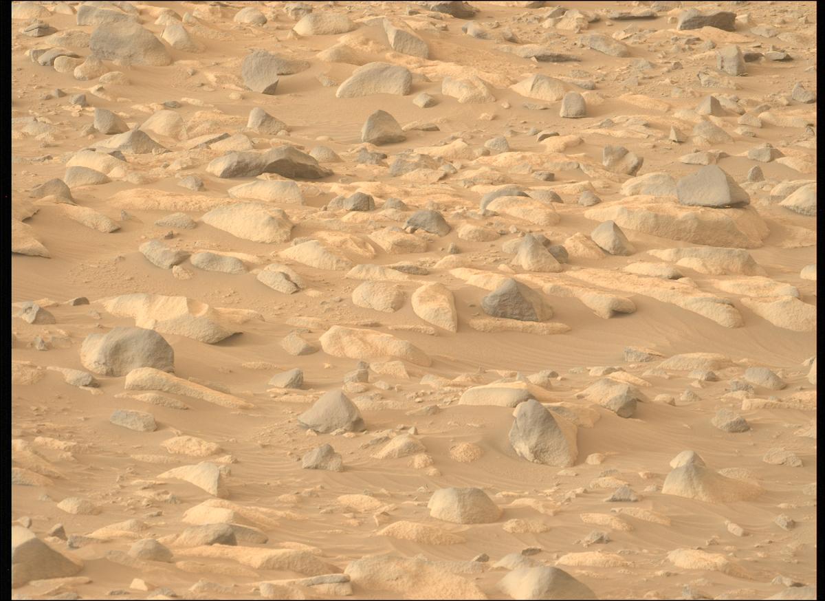This image was taken by MCZ_LEFT onboard NASA's Mars rover Perseverance on Sol 1135