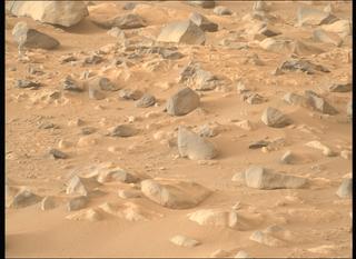View image taken on Mars, Mars Perseverance Sol 1135: Right Mastcam-Z Camera