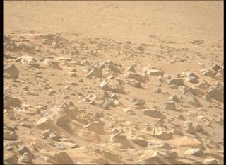 View image taken on Mars, Mars Perseverance Sol 1137: Left Mastcam-Z Camera