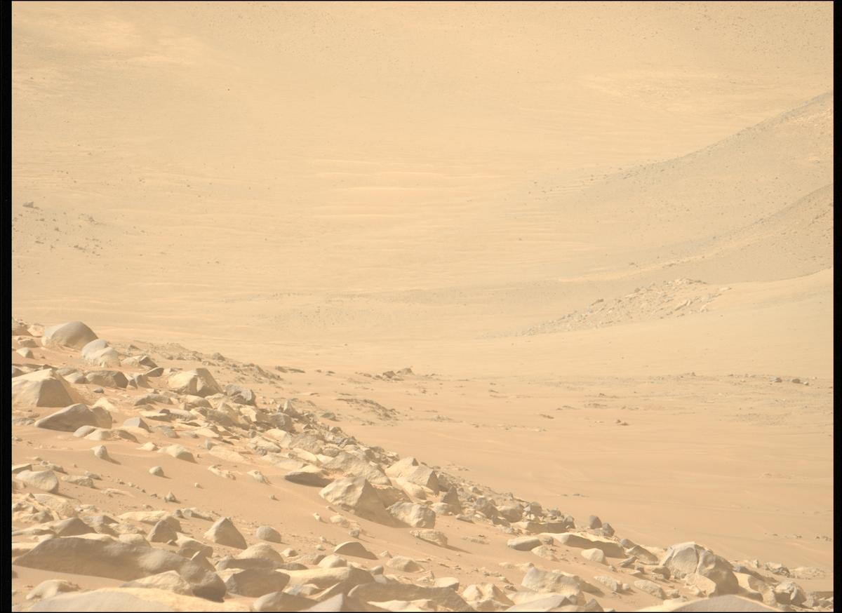 This image was taken by MCZ_LEFT onboard NASA's Mars rover Perseverance on Sol 1137