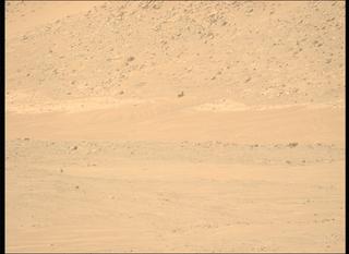 View image taken on Mars, Mars Perseverance Sol 1137: Left Mastcam-Z Camera