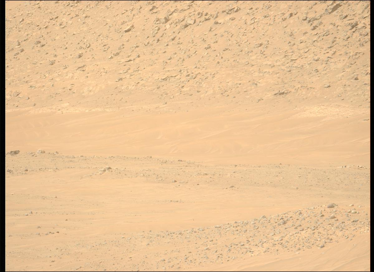 This image was taken by MCZ_LEFT onboard NASA's Mars rover Perseverance on Sol 1137