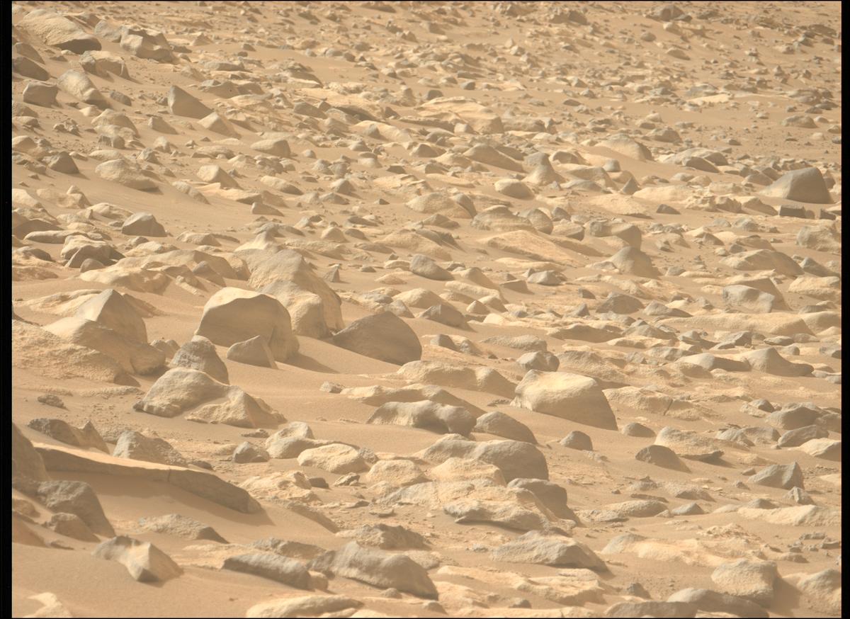 This image was taken by MCZ_LEFT onboard NASA's Mars rover Perseverance on Sol 1137