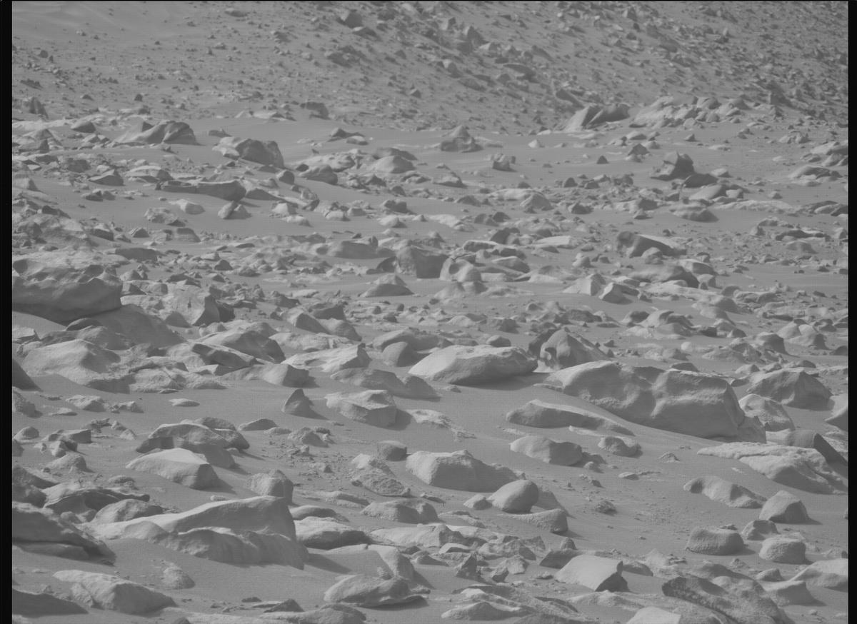 This image was taken by MCZ_LEFT onboard NASA's Mars rover Perseverance on Sol 1137