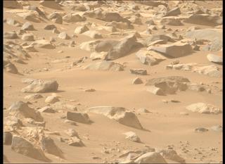 View image taken on Mars, Mars Perseverance Sol 1137: Left Mastcam-Z Camera