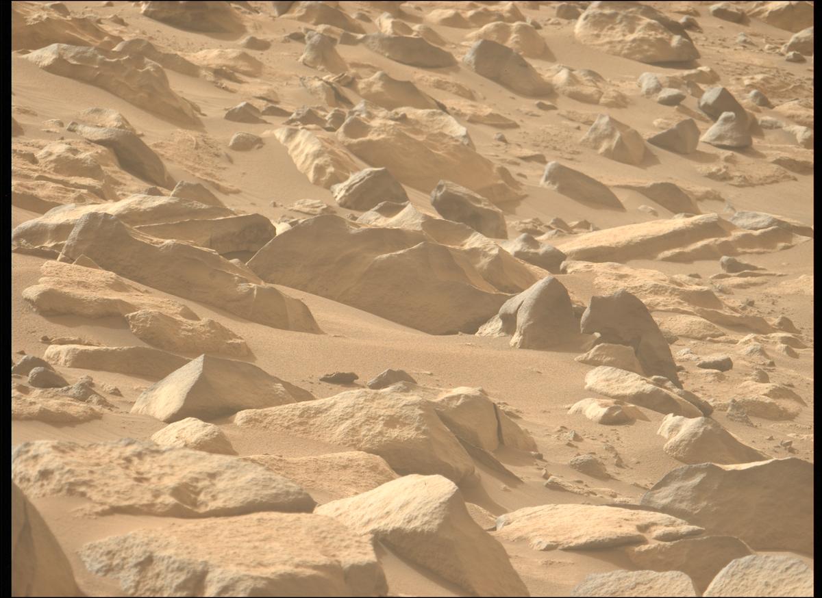 This image was taken by MCZ_LEFT onboard NASA's Mars rover Perseverance on Sol 1137