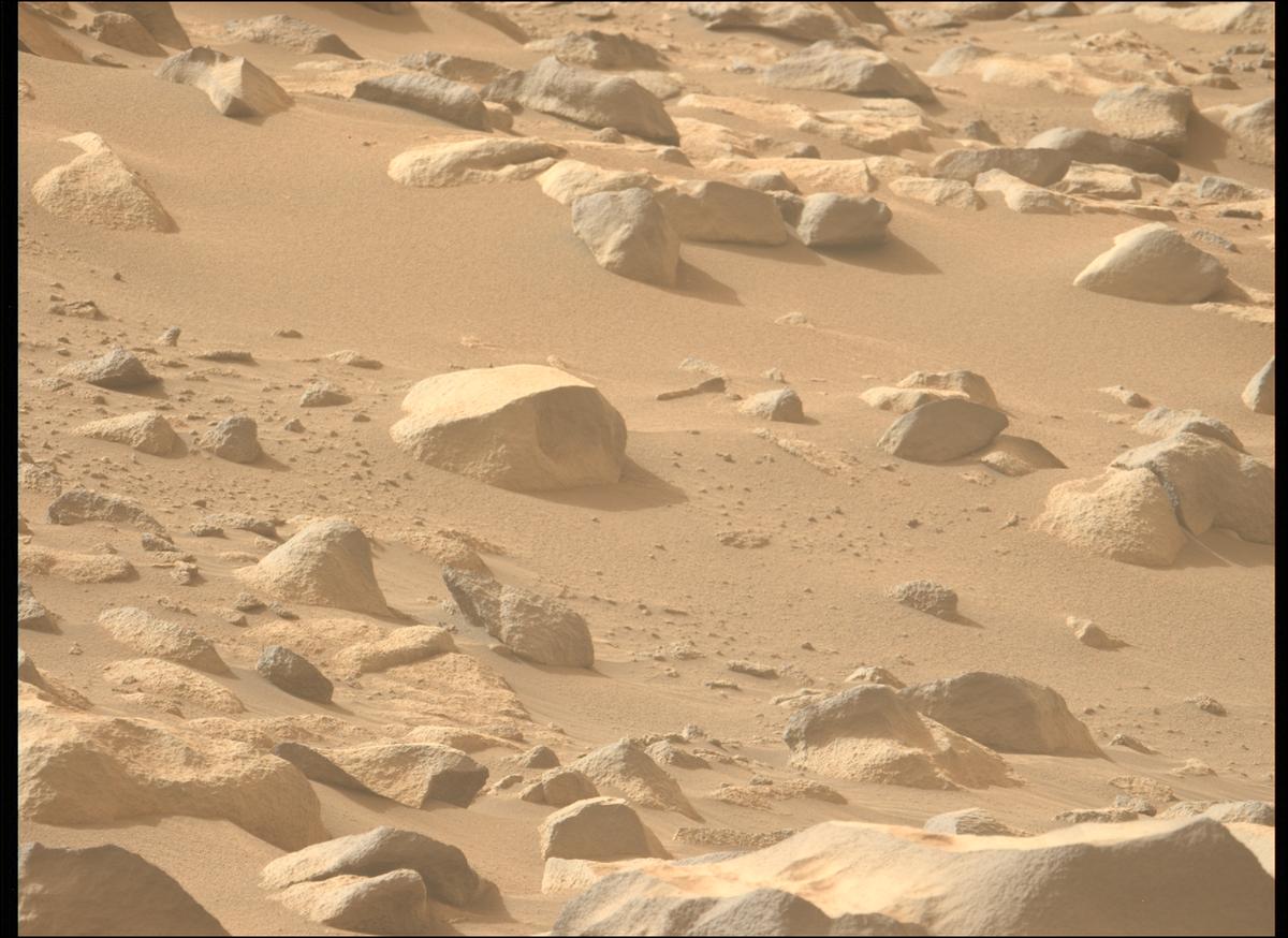 This image was taken by MCZ_LEFT onboard NASA's Mars rover Perseverance on Sol 1137