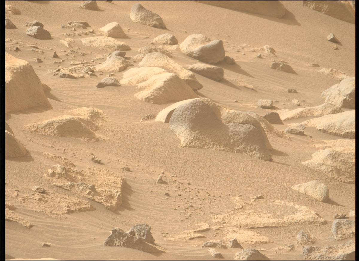 This image was taken by MCZ_LEFT onboard NASA's Mars rover Perseverance on Sol 1137