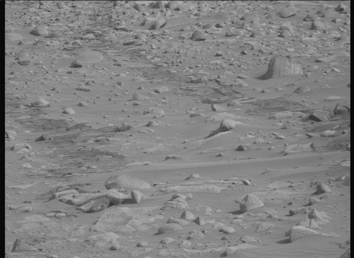 This image was taken by MCZ_LEFT onboard NASA's Mars rover Perseverance on Sol 1137